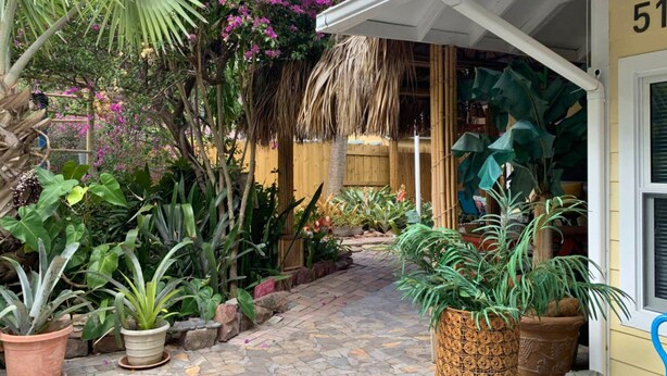 A tropical garden with potted plants and a thatched roof structure.