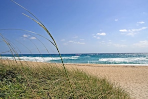 A beach with waves, clear sky, and grass in the foreground.