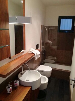 Regadera, secadora de cabello, bidet, toallas