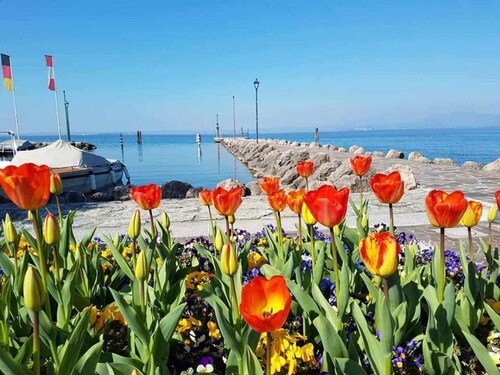Casa Aldina- historic centre, glazed roof veranda