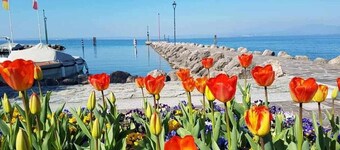 Casa Aldina- historic centre, glazed roof veranda