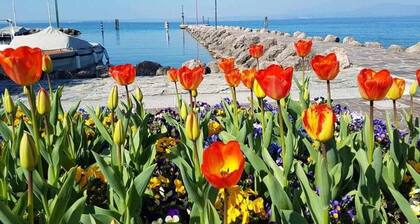 Casa Aldina- historic centre, glazed roof veranda