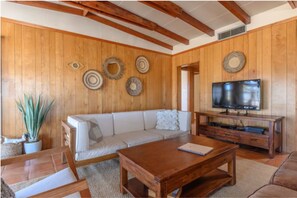 TV connectée, cheminée, jeux vidéo, lecteur de DVD