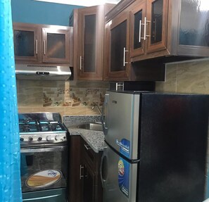 Economy Apartment | Private kitchen