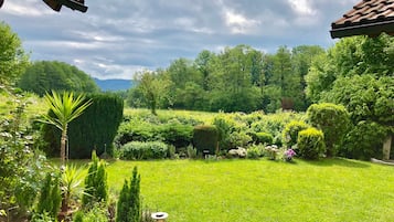 Ein üppiger Garten mit verschiedenen Pflanzen und einer Rasenfläche, umgeben von Bäumen und einem bewölkten Himmel.