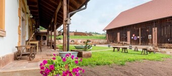 Dolní Olešnice by Interhome