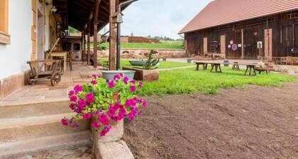 Dolní Olešnice by Interhome