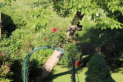 Ferienwohnung "Grün" am Bodensee mit WLAN, Balkon & Garten