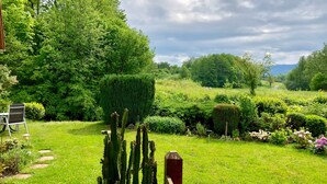 Un jardín con cerca de madera, un cactus y una silla.