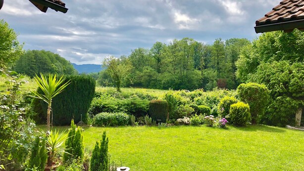 Un jardín exuberante con diversas plantas y césped, rodeado de árboles y un cielo nublado.