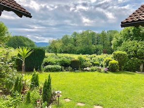 Un jardin luxuriant, avec une variété de plantes et une pelouse, entouré d’arbres et surplombé d’un ciel nuageux.