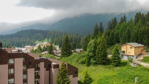 Et boligområde med huse omgivet af tæt skov og bjerge.