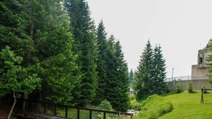 En træbro over en å, omgivet af tæt grøn vegetation og en græsplæne med en bygning i baggrunden.