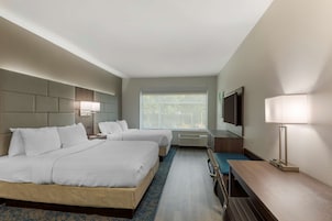 Quarto de hotel com duas camas, uma escrivaninha, uma cadeira, uma TV e uma janela com vista para árvores.