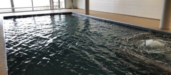 Cozy Duplex for 7 with Parking, Indoor Pool, and Fitness Room