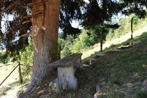 Jardines del alojamiento