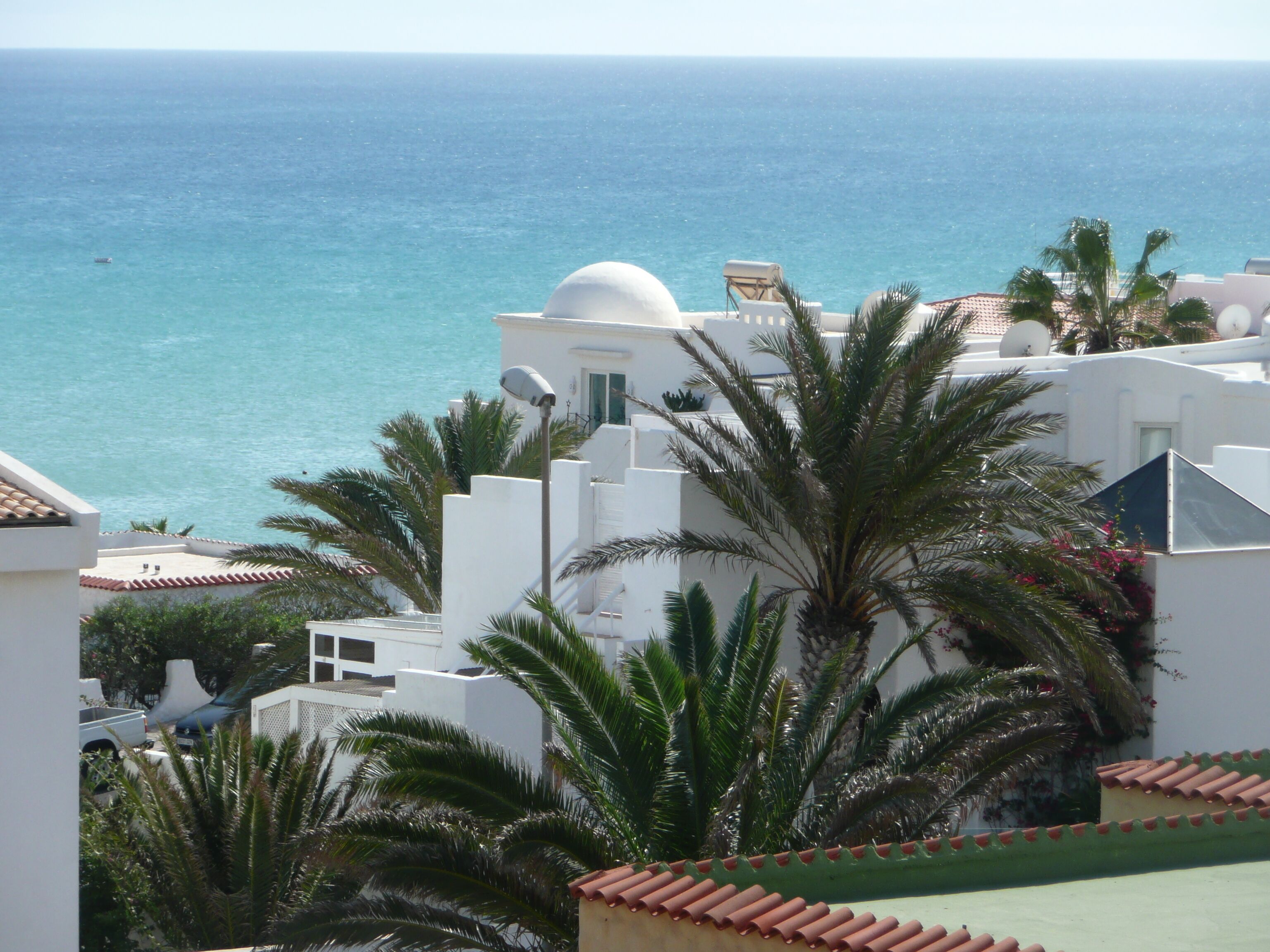 A coastal building with a white facade, palm trees, and a view of the sea.