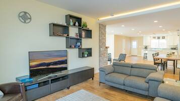 TV, fireplace, video games, Netflix