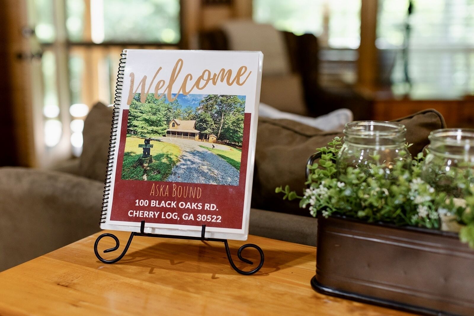 Aska Bound - family, pet & budget friendly cabin near Toccoa River & Blue Ridge 