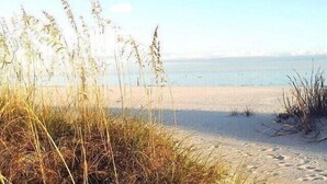 Une plage de sable avec une végétation clairsemée.