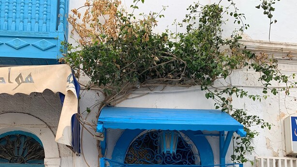 A blue door with a sign reading "Dar Lolol Maison d'hotes" and a telephone number. - Dar Lola, guest house in the medina (Houmt Souk)