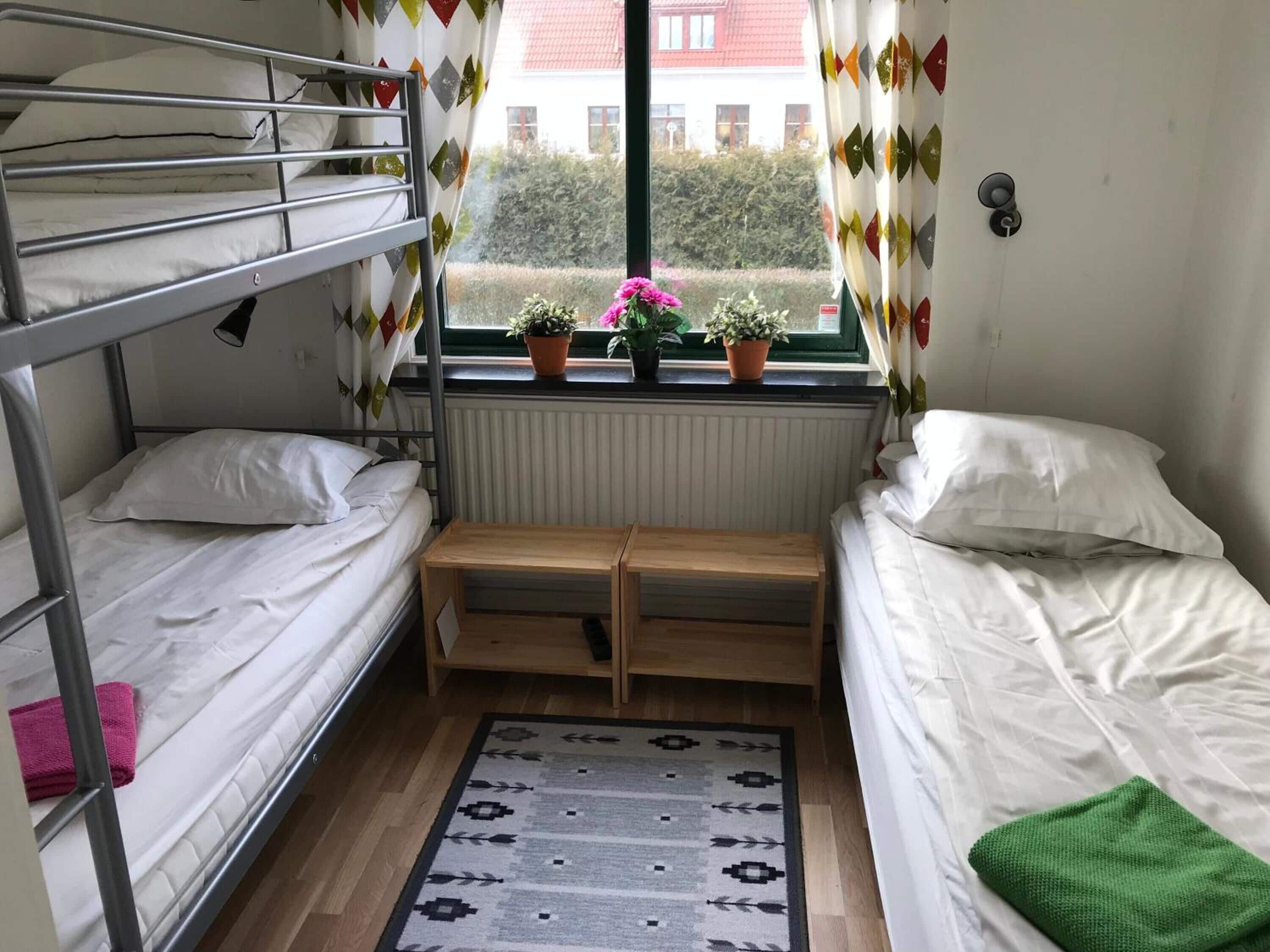 A dormitory room with two single beds, a wooden bench, a patterned rug, and potted plants by the window.