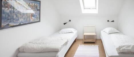 Un dormitorio con dos camas individuales, un tragaluz, un cuadro en la pared y una mesita entre las camas.