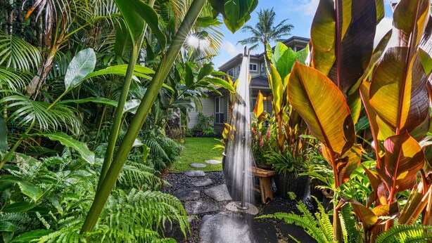 Een weelderige tuin met een waterval, tropische planten en een huis op de achtergrond.