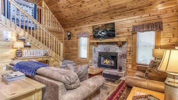 TV, fireplace, books