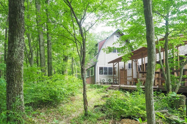 A view of the bungalow.