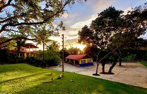 Exterior - Hotel Netto (Cachoeiras de Macacu)