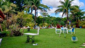 Un jardin luxuriant, avec des palmiers, une pelouse verdoyante et du mobilier d’extérieur.