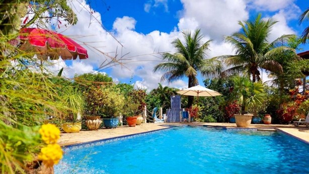 Une piscine entourée de plantes tropicales et de palmiers.