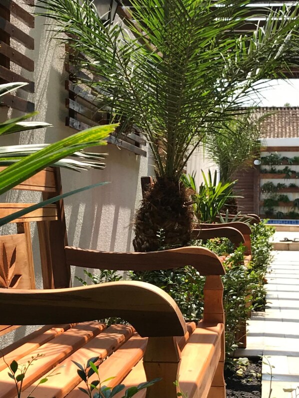 A wooden bench with a curved backrest, surrounded by lush greenery including a palm tree and various plants.