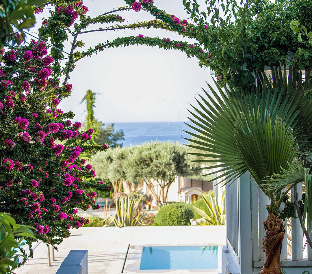 室外泳池、暖水池