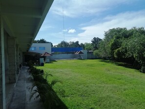 วิวสนามหญ้า