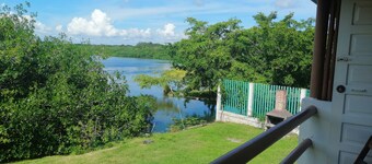 EFRAIN REGALADO TORRES