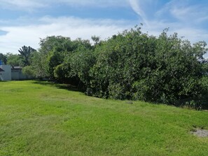 Quang cảnh sân vườn