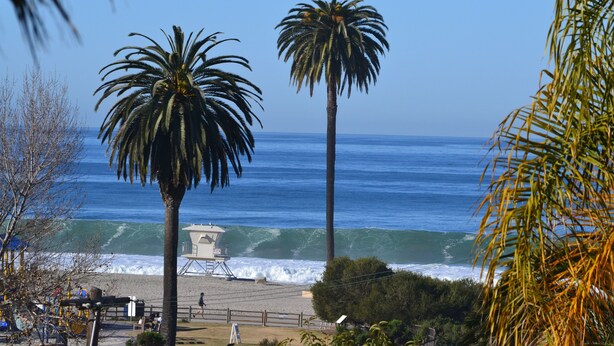 A beach with palm trees, a lifeguard tower, and a sandy walkway. - Moonlight Beach Motel (Encinitas)