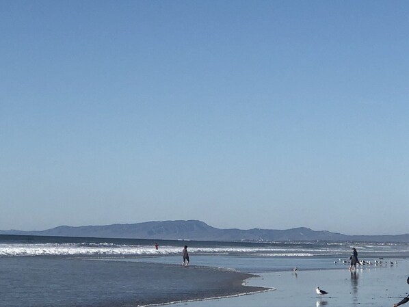 A beach with people and birds, mountains in the distance, and calm waves.
