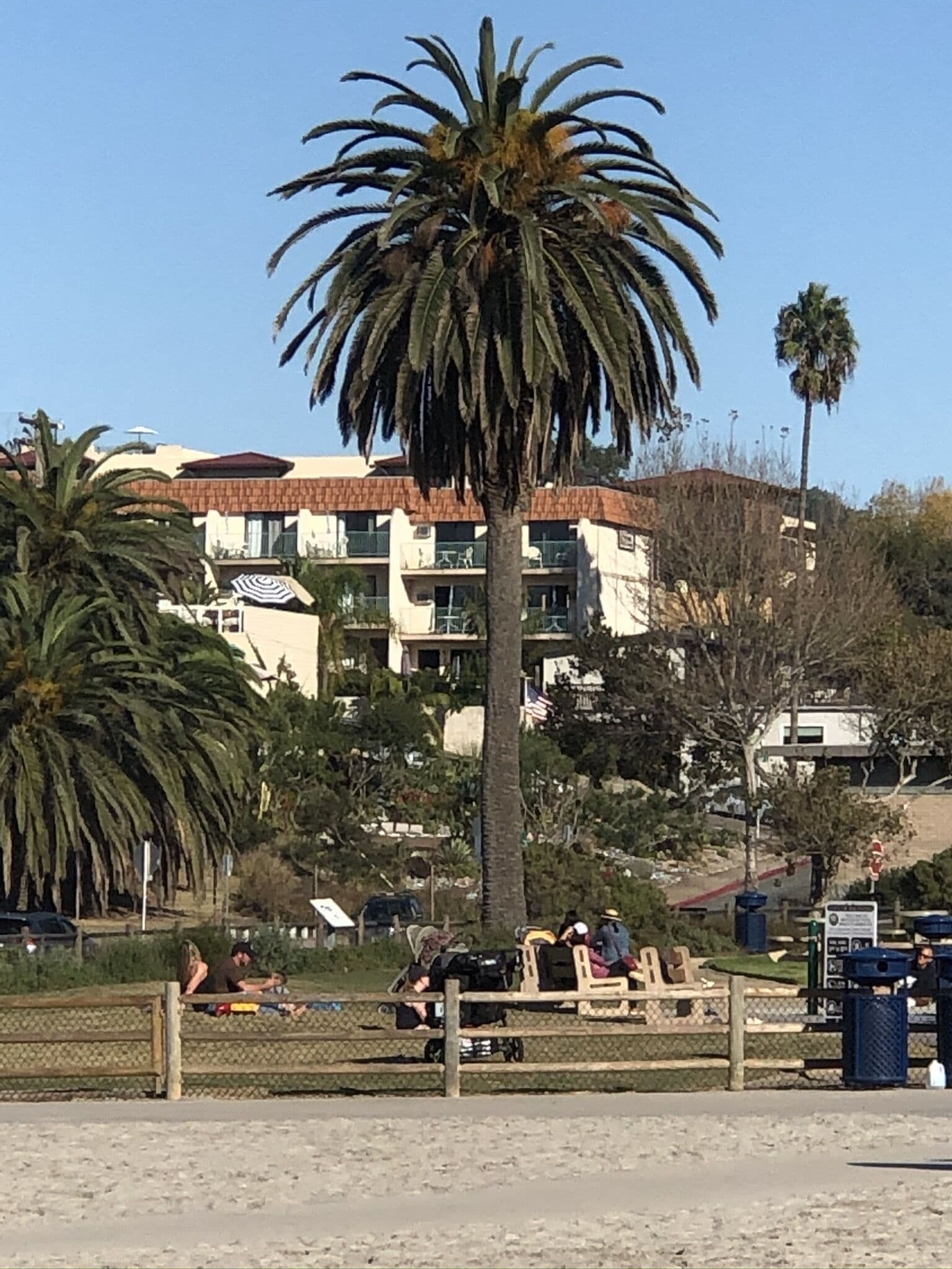 Foto - Moonlight Beach Motel