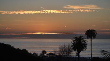 A sunset over a calm sea with silhouettes of palm trees and a beach area.