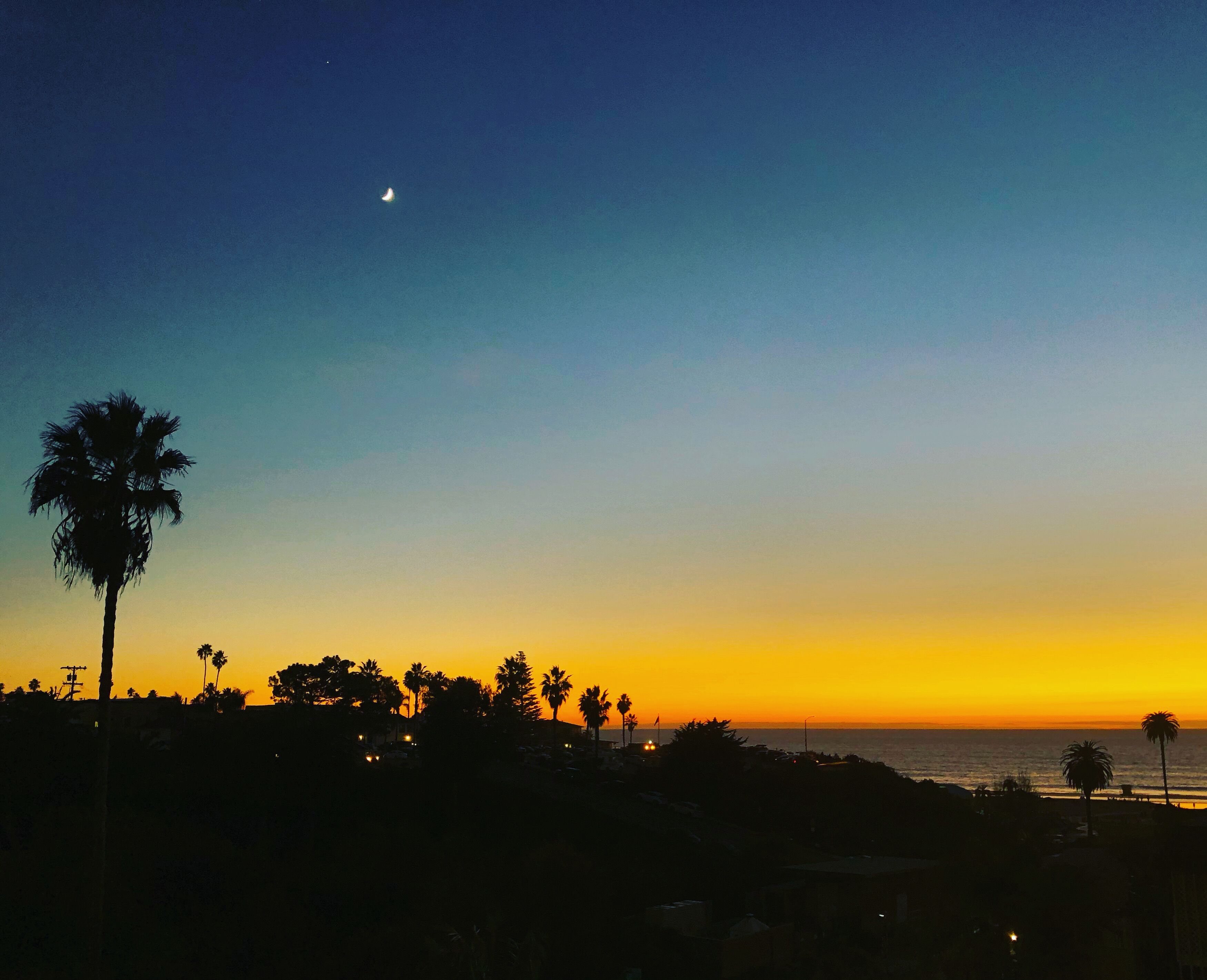 Foto - Moonlight Beach Motel