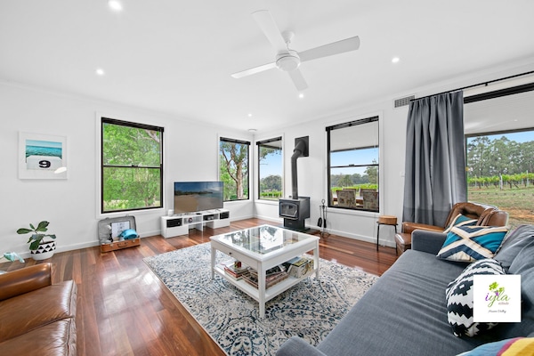 Televisor intel·ligent, llar de foc, Netflix i llibres