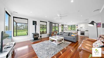 Smart TV, fireplace, Netflix, books