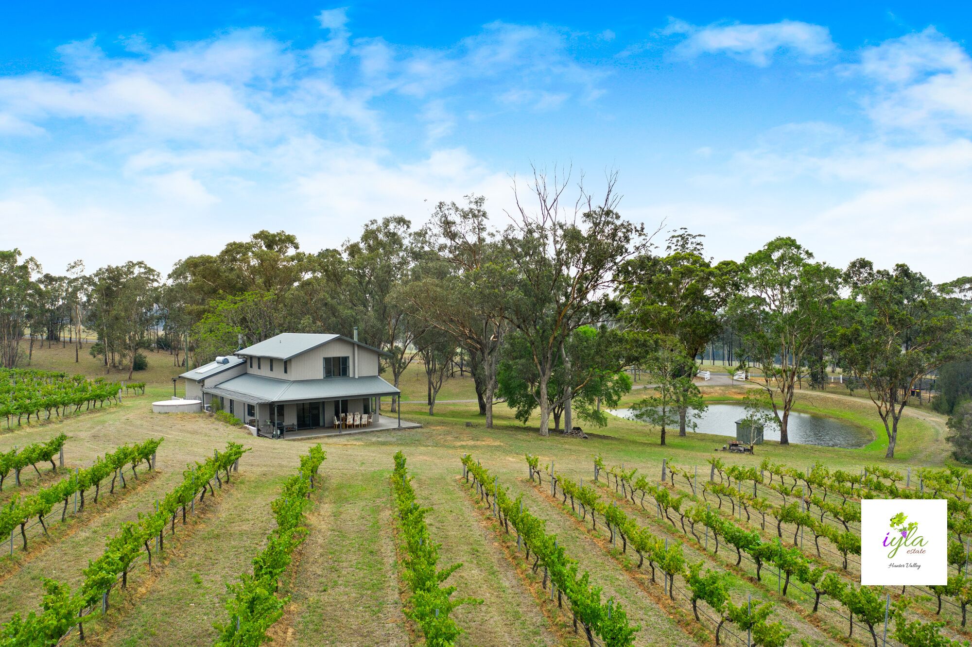Gorgeous cottage with view of the vines and the dam!