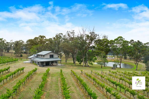 Gorgeous cottage with view of the vines and the dam!