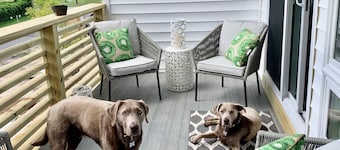MODERN Beach Home! Dogs Welcome! 6 Passenger Golf Cart & Free Town of CB Parking
