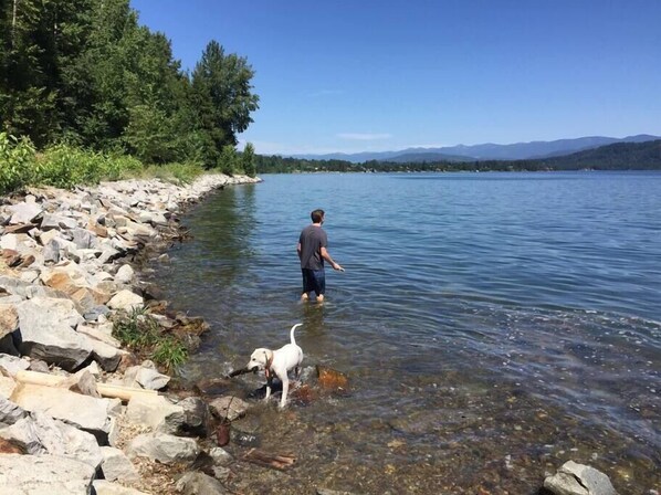 A man and a dog in a clear lake with rocky shores and trees in the background.