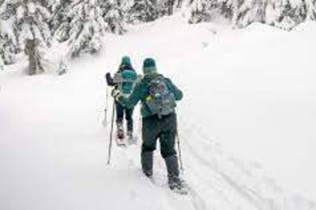 Un sendero nevado con dos personas esquiando.
